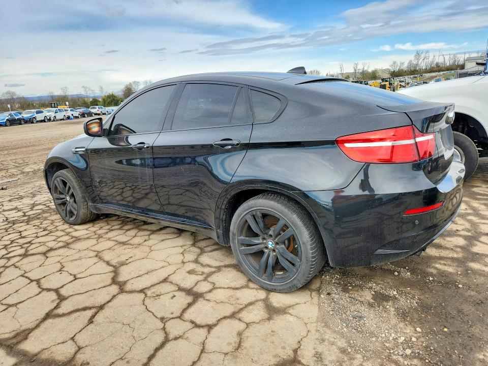 Продаж на аукціоні авто 2013 Bmw X6, vin: 5YMGZ0C59DLL30078, номер лоту: 48312076