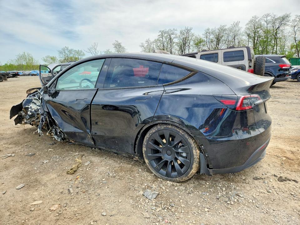 Продажа на аукционе авто 2024 Tesla Model Y, vin: 7SAYGDEE4RA305509, номер лота: 49658136