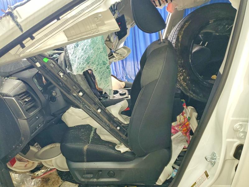 Продажа на аукционе авто 2025 Nissan Rogue, vin: 5N1BT3BB1SC820293, номер лота: 50769936