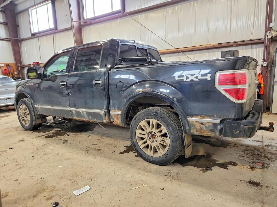 Продажа на аукционе авто 2010 Ford F150, vin: 1FTFW1EV0AFA20038, номер лота: 51180026