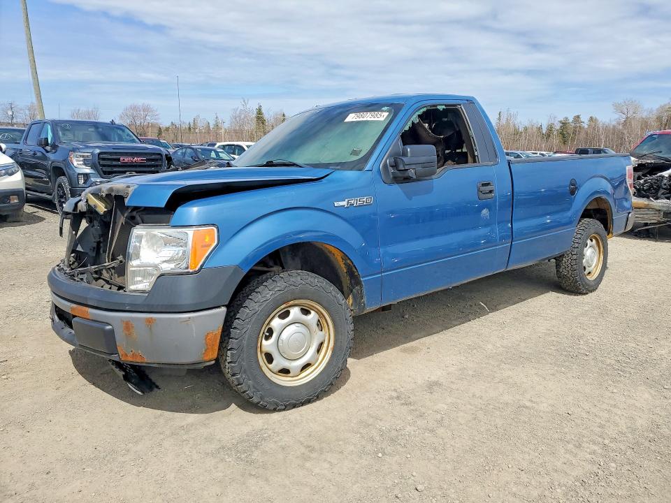Продажа на аукционе авто 2013 Ford F150, vin: 1FTMF1CM1DKF62018, номер лота: 79807985