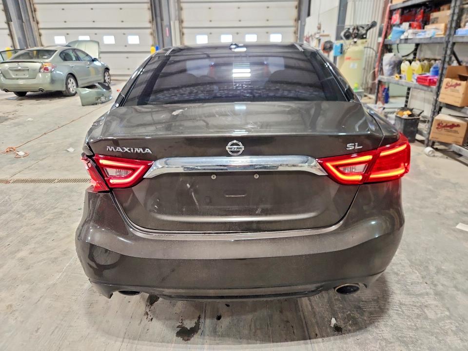 Продаж на аукціоні авто 2016 Nissan Maxima, vin: 1N4AA6AP5GC446739, номер лоту: 48783266