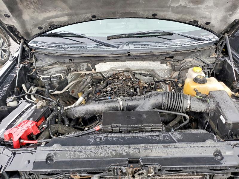 51155776 :رقم المزاد ، 1FTFW1ET5EFB18650 vin ، 2014 Ford F150 مزاد بيع