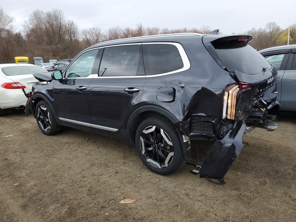 Aukcja sprzedaży 2025 Kia Telluride, vin: 5XYP6DGC6SG604380, numer aukcji: 48436826