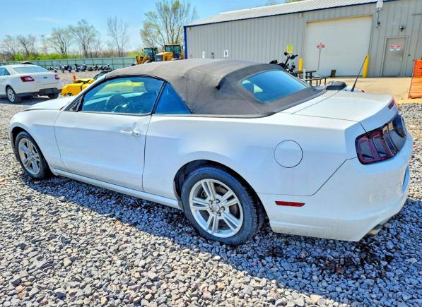 2014 Ford Mustang მანქანა იყიდება აუქციონზე, vin: 1ZVBP8EM3E5313923, აუქციონის ნომერი: 49248486