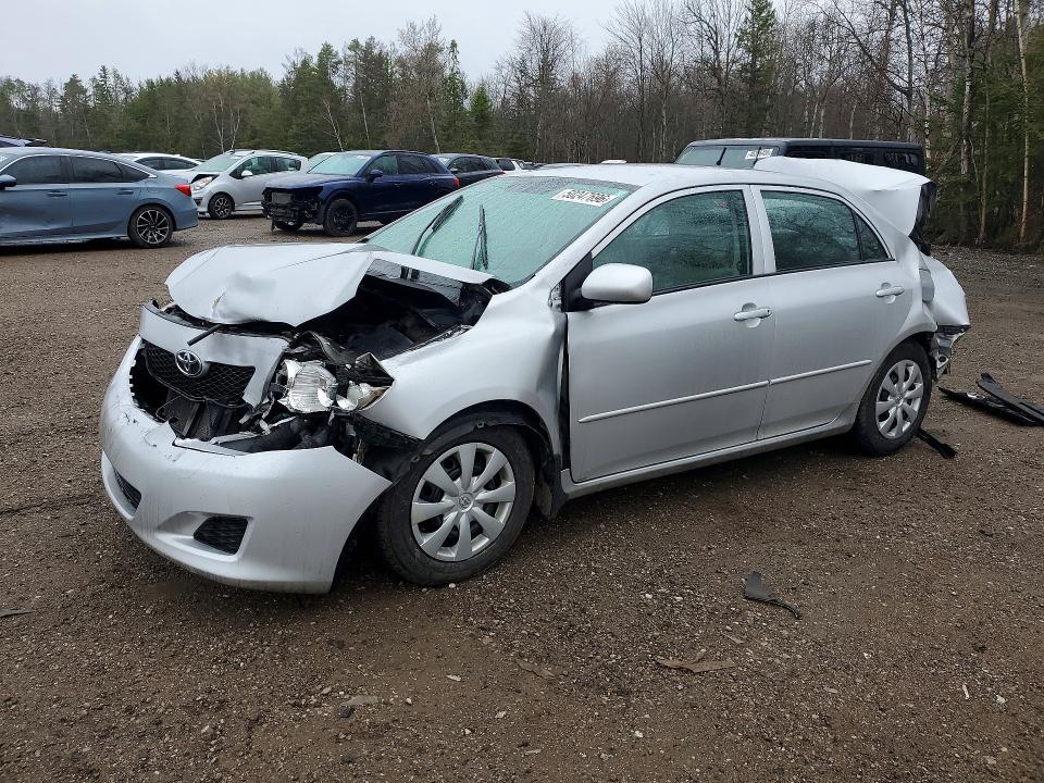 50247696 :رقم المزاد ، 2T1BU4EE7AC222485 vin ، 2010 Toyota Corolla مزاد بيع