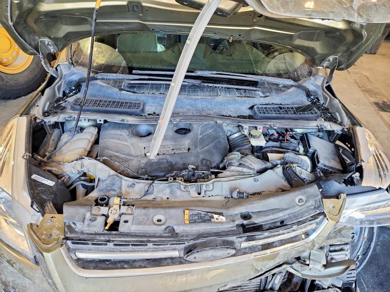 Auction sale of the 2014 Ford Escape, vin: 1FMCU9J93EUA39972, lot number: 49010156