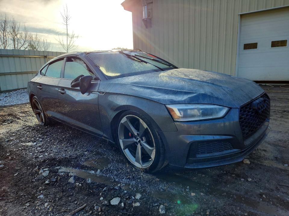 Продаж на аукціоні авто 2019 Audi S5, vin: WAUB4CF53KA017631, номер лоту: 50777546