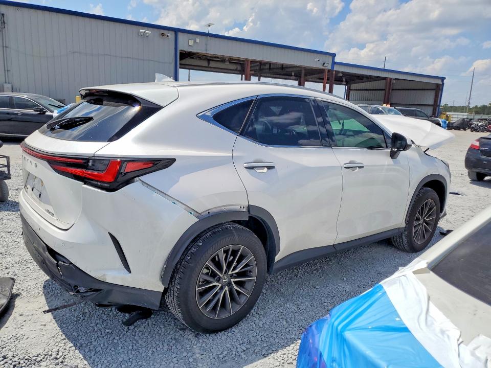 Aukcja sprzedaży 2025 Lexus Nx 250, vin: 2T2ADCAZ7SC018913, numer aukcji: 51534706