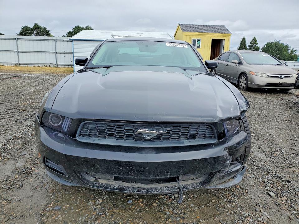 50802916 :رقم المزاد ، 1ZVBP8AN5A5100805 vin ، 2010 Ford Mustang مزاد بيع