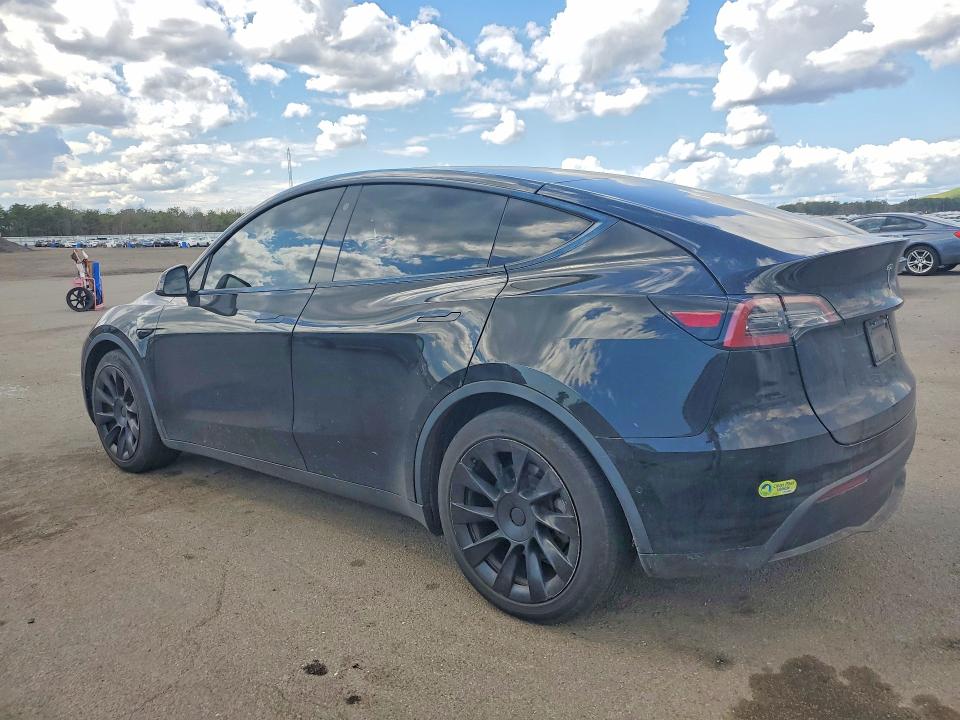 48905486 :رقم المزاد ، 5YJYGDEE1MF191476 vin ، 2021 Tesla Model Y مزاد بيع