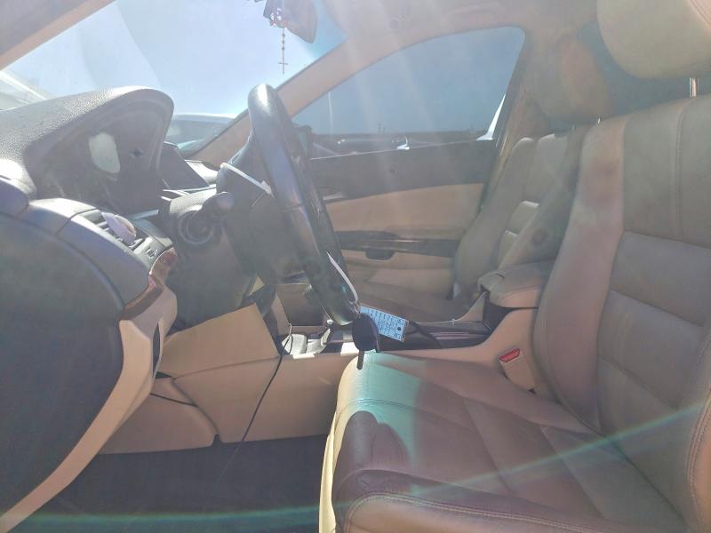 2010 Honda Accord Crosstour მანქანა იყიდება აუქციონზე, vin: 5J6TF2H56AL011991, აუქციონის ნომერი: 51334316