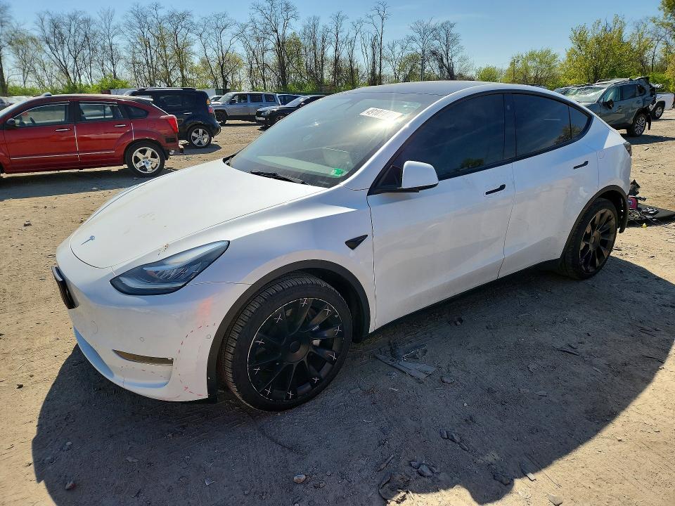 Продажа на аукционе авто 2021 Tesla Model Y, vin: 5YJYGDEE7MF210421, номер лота: 49101466