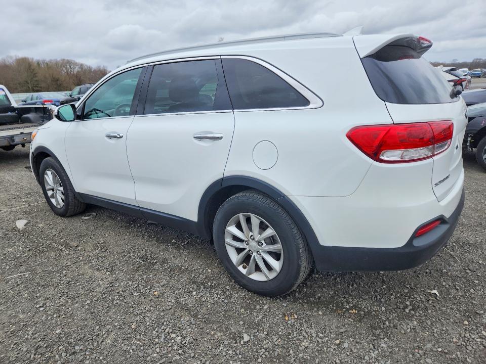 50605306 :رقم المزاد ، 5XYPG4A34GG035753 vin ، 2016 Kia Sorento مزاد بيع