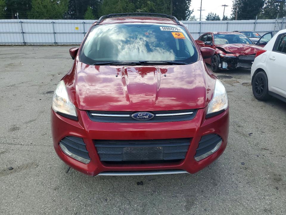2014 Ford Escape მანქანა იყიდება აუქციონზე, vin: 1FMCU0GX6EUD34646, აუქციონის ნომერი: 50984276