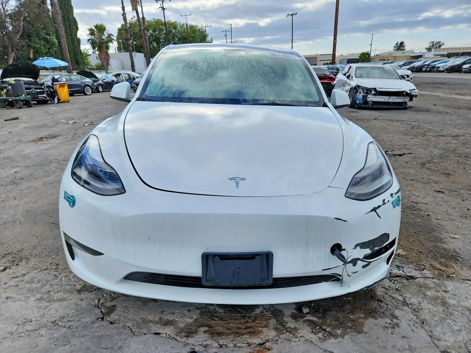 Aukcja sprzedaży 2023 Tesla Model Y, vin: 7SAYGDEF5PF772432, numer aukcji: 51633726