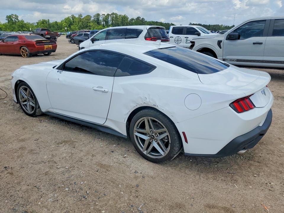 Продаж на аукціоні авто 2024 Ford Mustang, vin: 1FA6P8TH4R5118970, номер лоту: 51139006