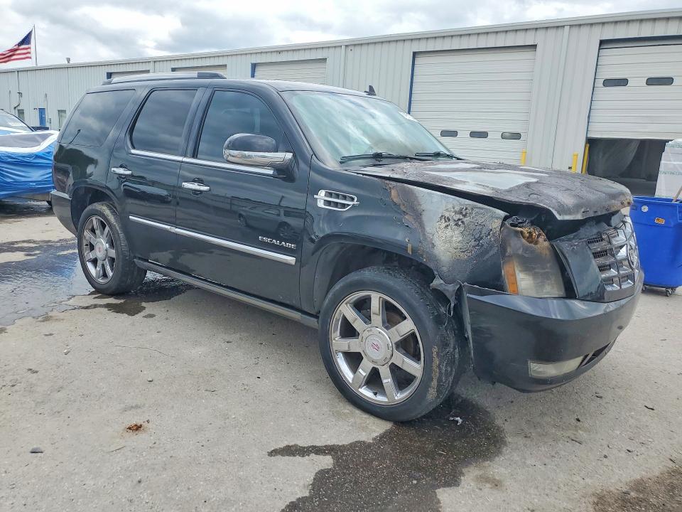 Продаж на аукціоні авто 2011 Cadillac Escalade, vin: 1GYS3CEF0BR349764, номер лоту: 51813366