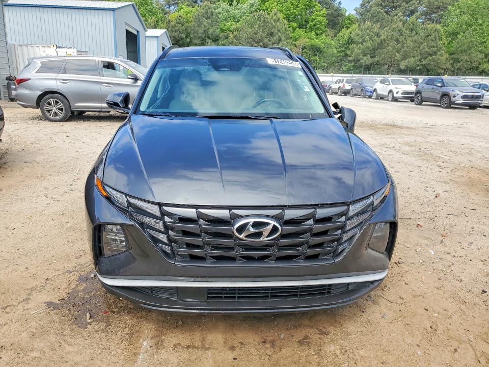 Продаж на аукціоні авто 2023 Hyundai Tucson, vin: 5NMJF3AE2PH181532, номер лоту: 51240256