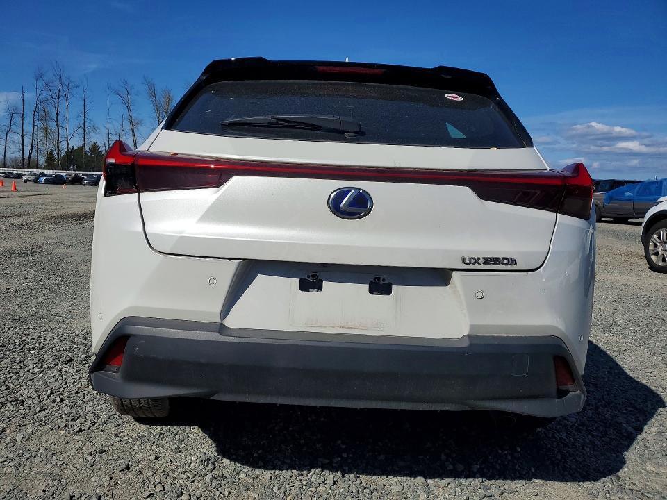 49285546 :رقم المزاد ، JTHP9JBH3N2062435 vin ، 2022 Lexus Ux 250h مزاد بيع