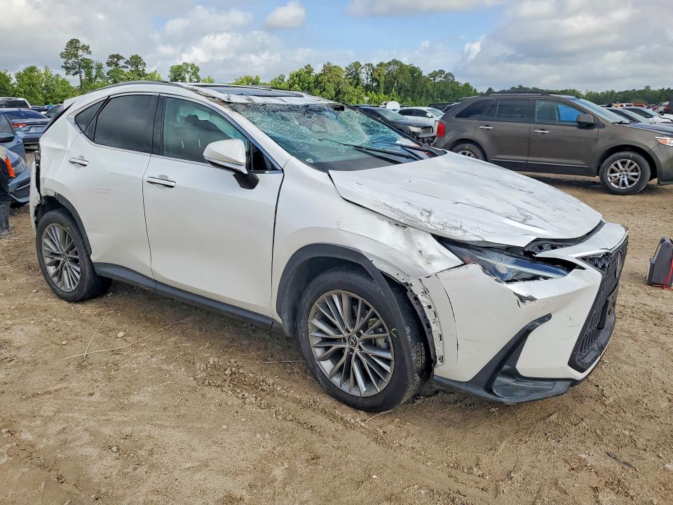 Aukcja sprzedaży 2023 Lexus Nx, vin: 2T2GKCEZ6PC010206, numer aukcji: 51089716