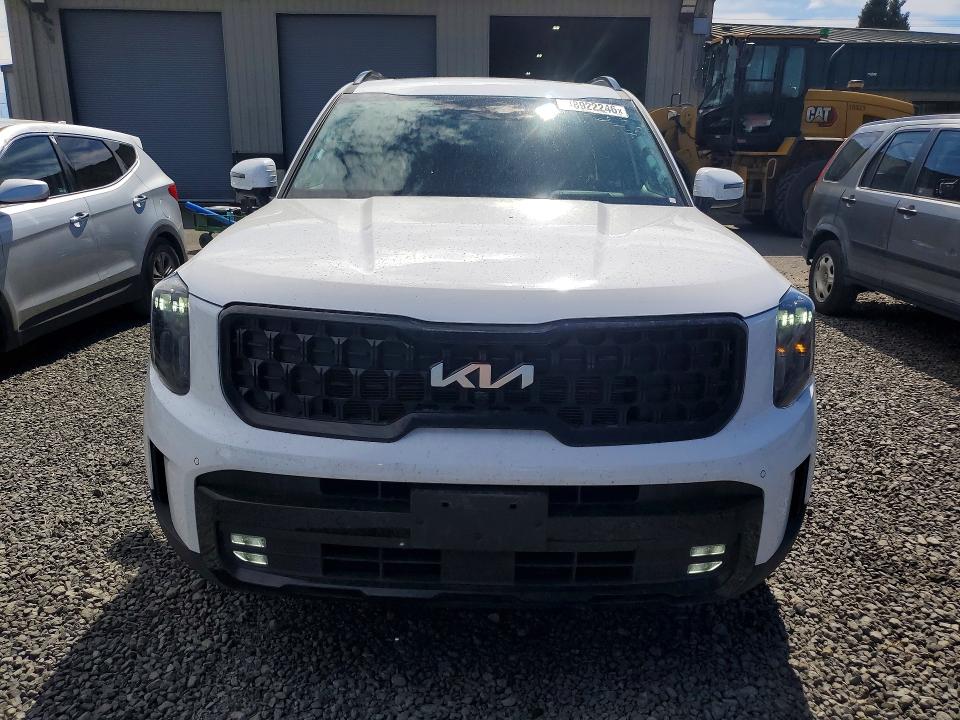 Продаж на аукціоні авто 2024 Kia Telluride, vin: 5XYP5DGC6RG533078, номер лоту: 48922246
