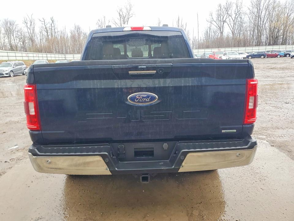 Продажа на аукционе авто 2023 Ford F150, vin: 1FTEW1EP6PFD30331, номер лота: 49246016