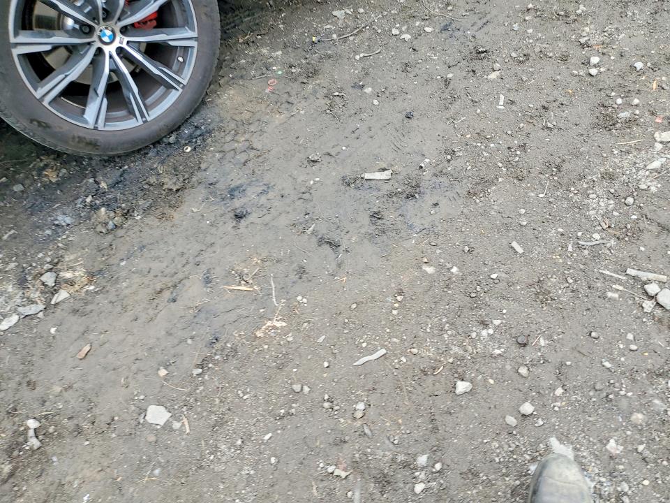 50908146 :رقم المزاد ، 5UX33EX06R9S41334 vin ، 2024 Bmw X6 مزاد بيع