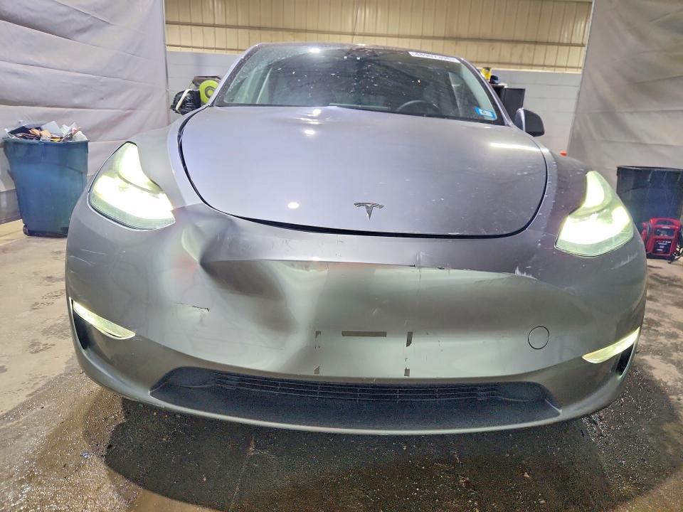 Продажа на аукционе авто 2024 Tesla Model Y, vin: 7SAYGDEE7RA290469, номер лота: 48907396