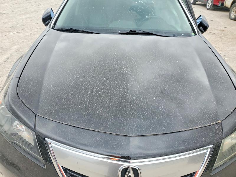 48579696 :رقم المزاد ، 19UUA8F58DA015024 vin ، 2013 Acura Tl مزاد بيع