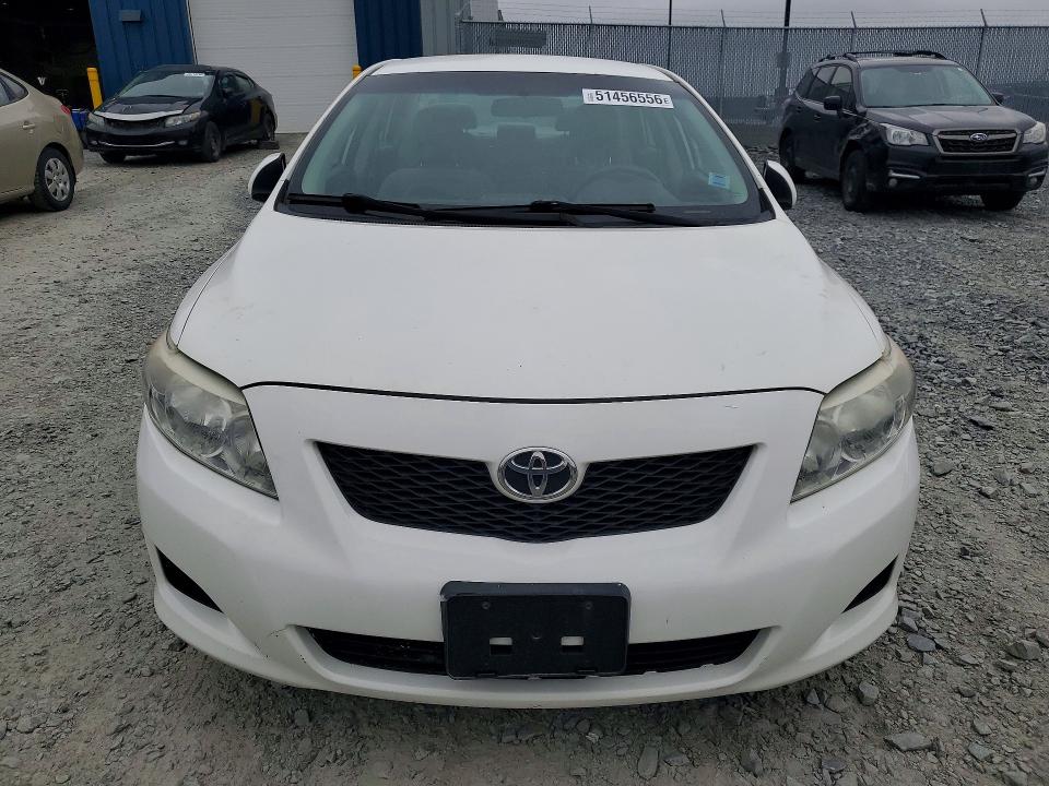 51456556 :رقم المزاد ، 2T1BU40EX9C022980 vin ، 2009 Toyota Corolla مزاد بيع