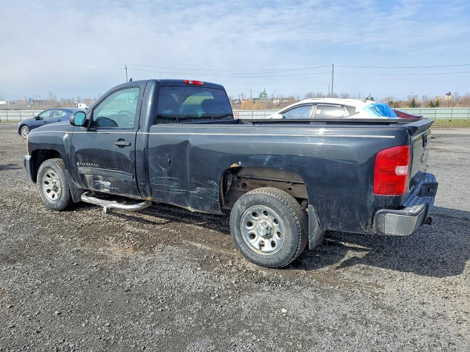 50578756 :رقم المزاد ، 1GCNCSEA5DZ149645 vin ، 2013 Chevrolet Silverado مزاد بيع