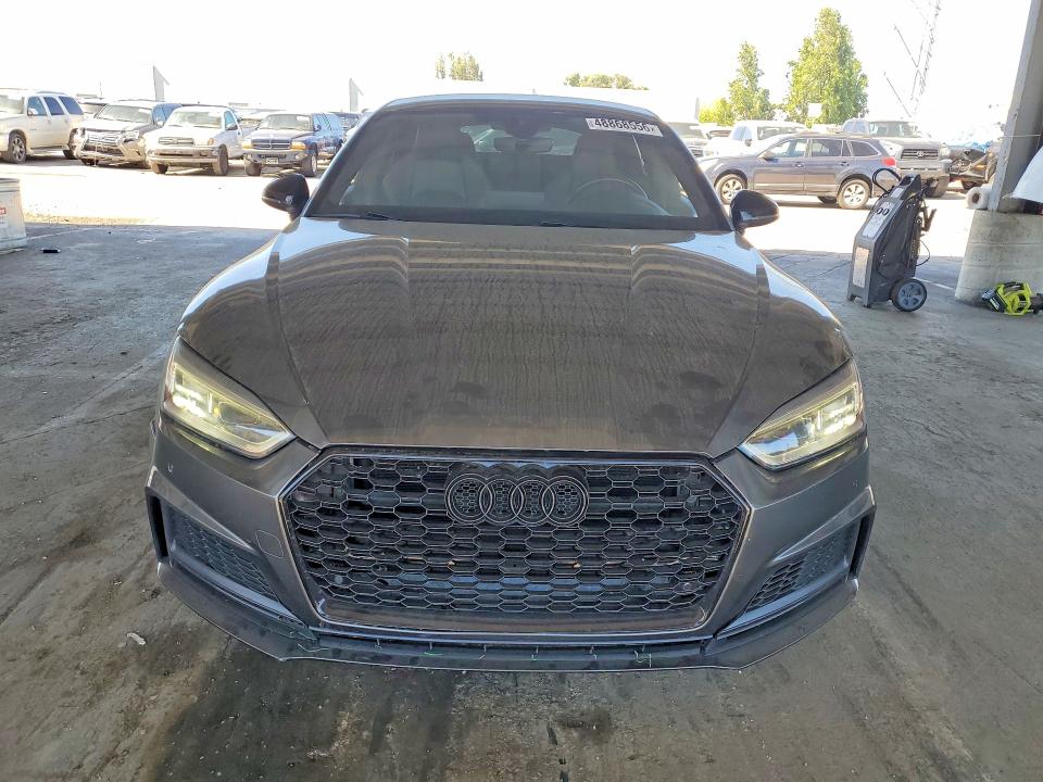 48868556 :رقم المزاد ، WAUB4CF54KA099997 vin ، 2019 Audi S5 مزاد بيع