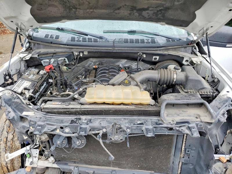 Aukcja sprzedaży 2019 Ford F150, vin: 1FTEW1C51KKC90256, numer aukcji: 51800206
