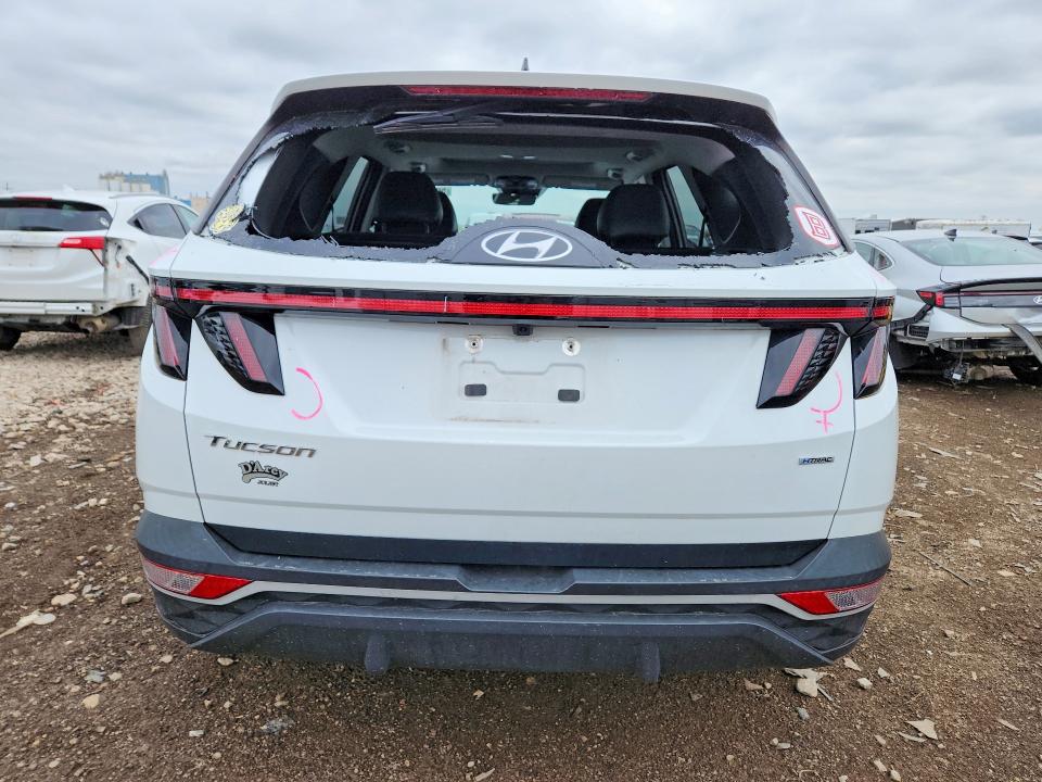 Продажа на аукционе авто 2022 Hyundai Tucson, vin: 5NMJCCAE8NH153210, номер лота: 50626756
