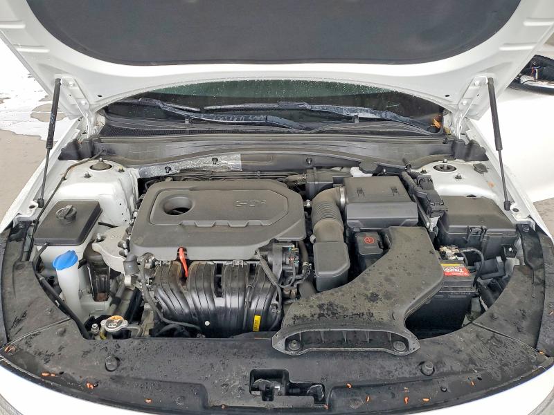 Продаж на аукціоні авто 2019 Kia Optima, vin: 5XXGT4L3XKG364561, номер лоту: 51116626