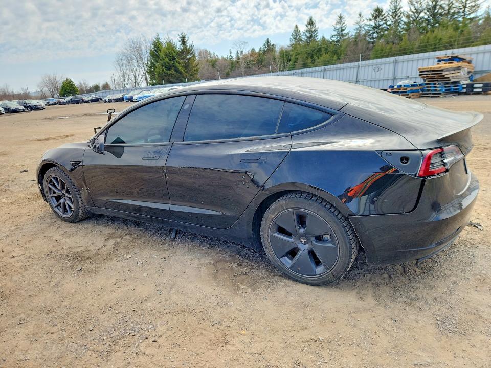 Продаж на аукціоні авто 2022 Tesla Model 3, vin: 5YJ3E1EA2NF197008, номер лоту: 50666226
