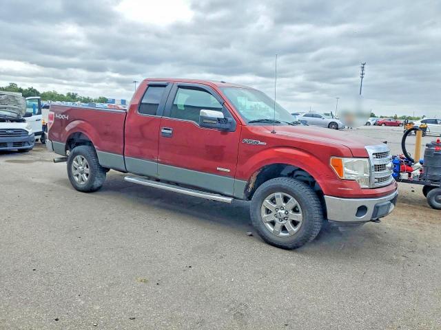 50617576 :رقم المزاد ، 1FTFX1ET9EKD28429 vin ، 2014 Ford F150 مزاد بيع