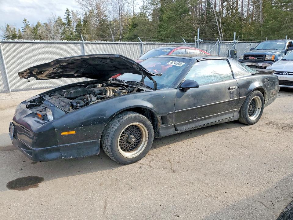 1988 Pontiac Firebird მანქანა იყიდება აუქციონზე, vin: 1G2FW21F1JL251833, აუქციონის ნომერი: 48745636