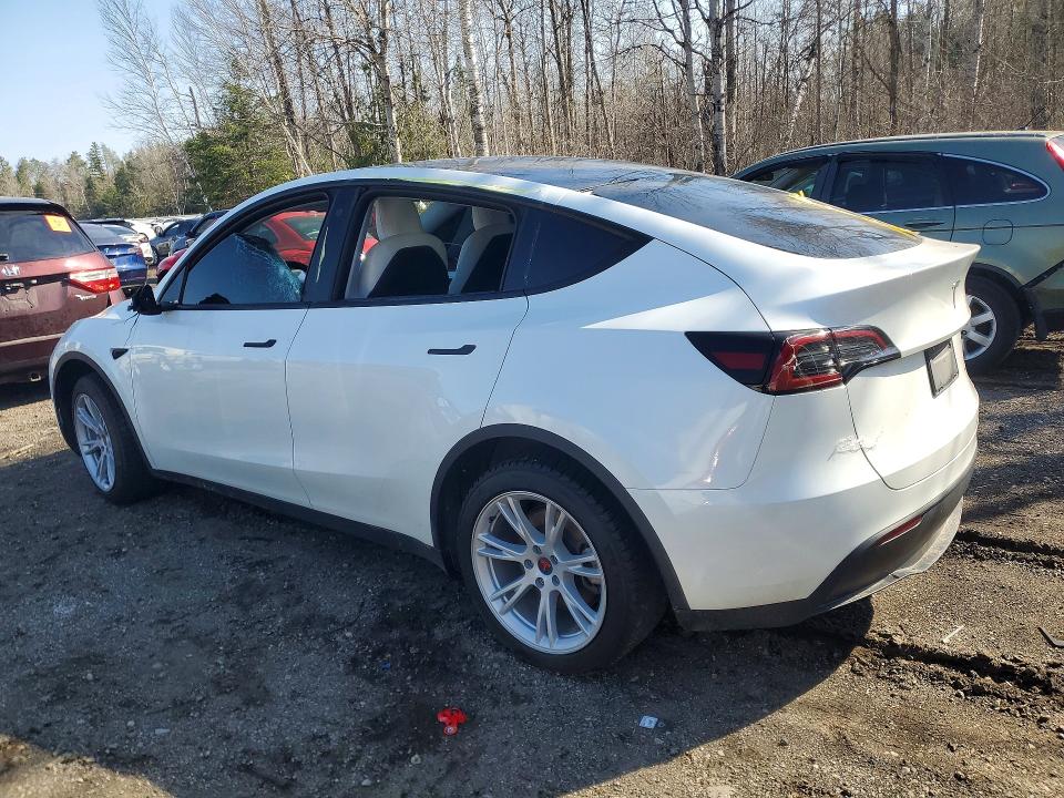 2023 Tesla Model Y მანქანა იყიდება აუქციონზე, vin: 7SAYGAEEXPF642801, აუქციონის ნომერი: 48622446