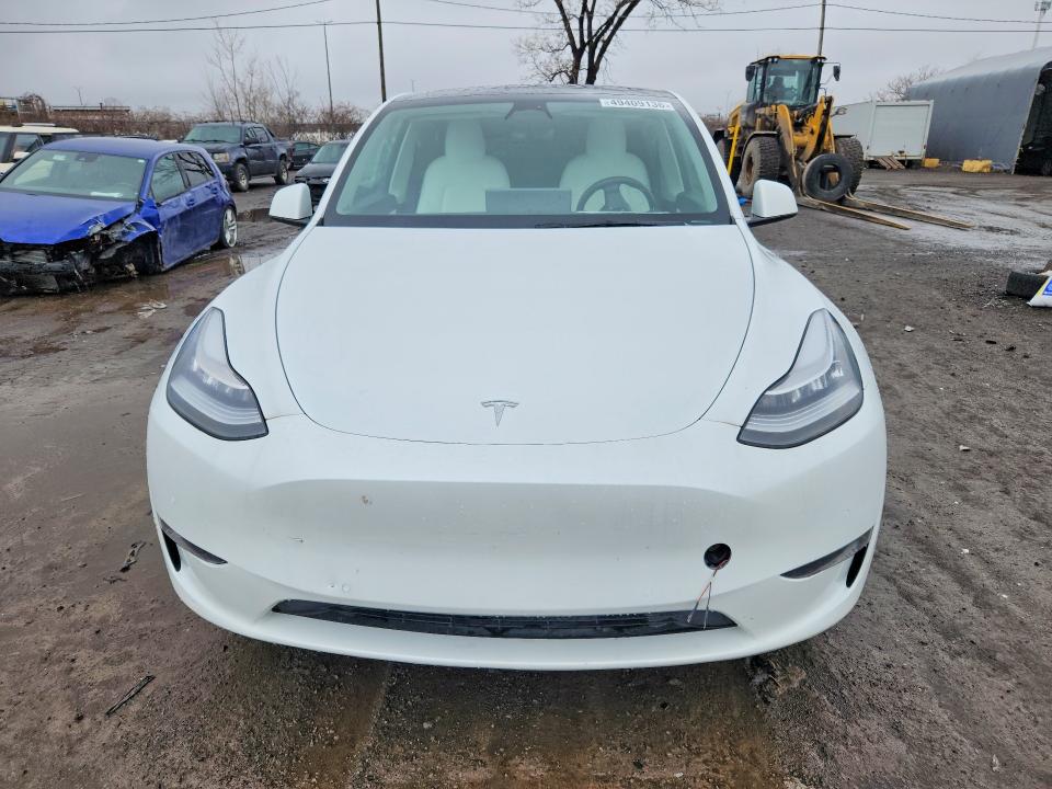 Продаж на аукціоні авто 2021 Tesla Model Y, vin: 5YJYGDEEXMF293357, номер лоту: 49409136