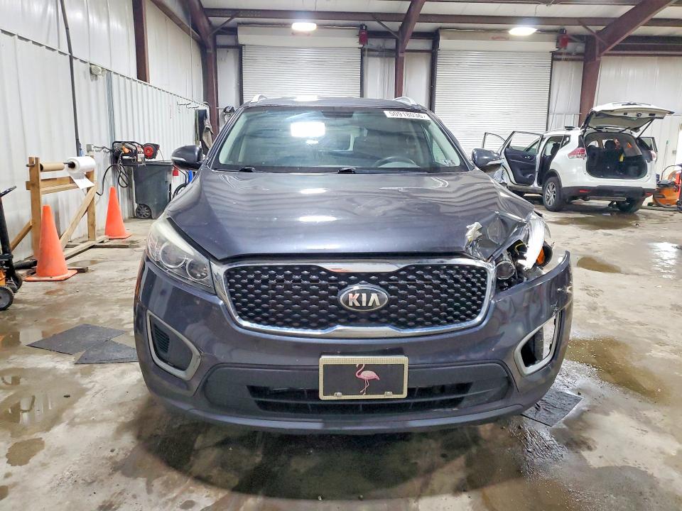 50918036 :رقم المزاد ، 5XYPGDA36GG052943 vin ، 2016 Kia Sorento مزاد بيع