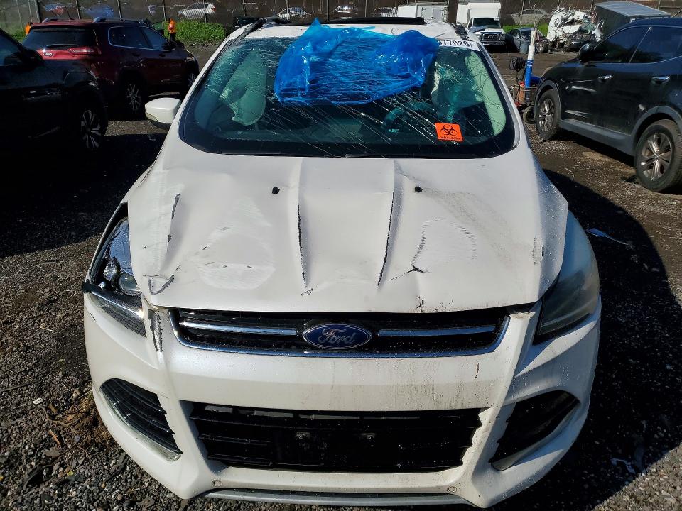 49977026 :رقم المزاد ، 1FMCU0J90DUA57212 vin ، 2013 Ford Escape مزاد بيع