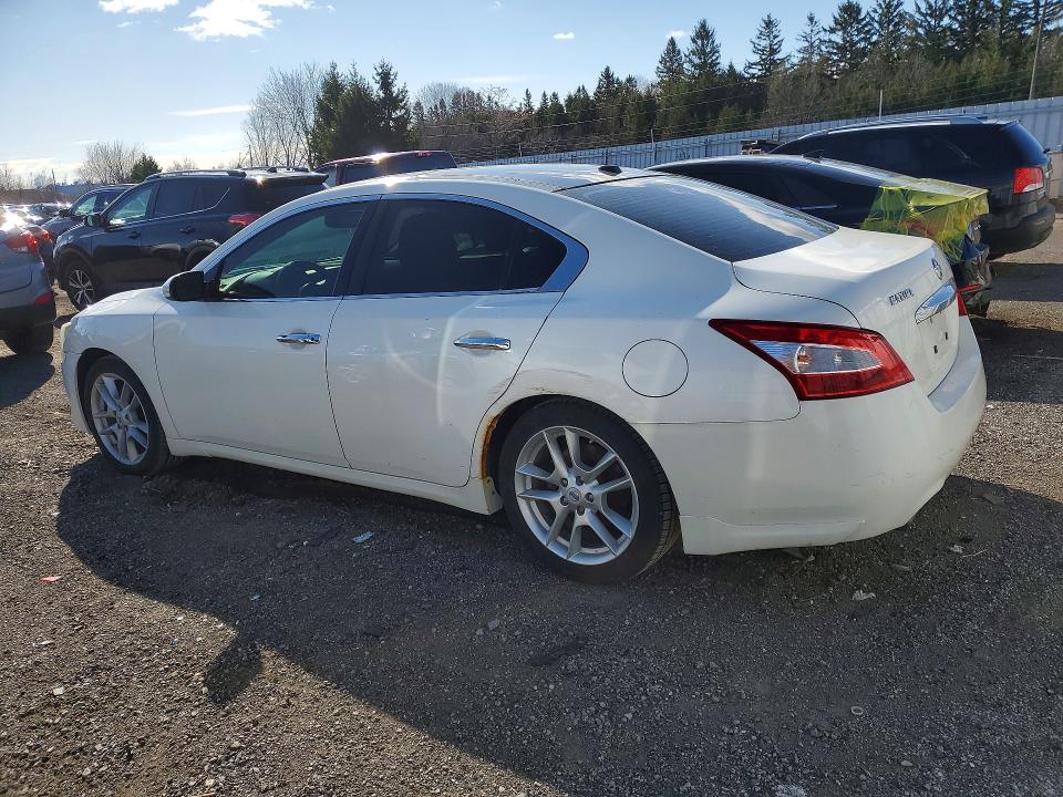 Продаж на аукціоні авто 2011 Nissan Maxima, vin: 1N4AA5AP2BC857454, номер лоту: 50066996