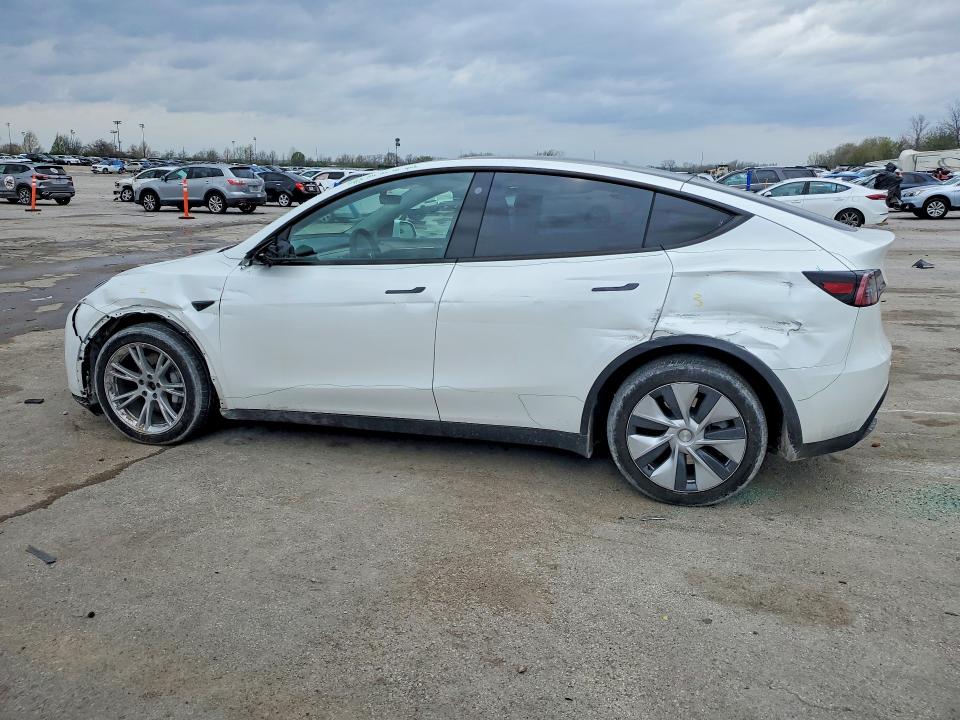 Продаж на аукціоні авто 2023 Tesla Model Y, vin: 7SAYGDEE6PF599348, номер лоту: 48128536