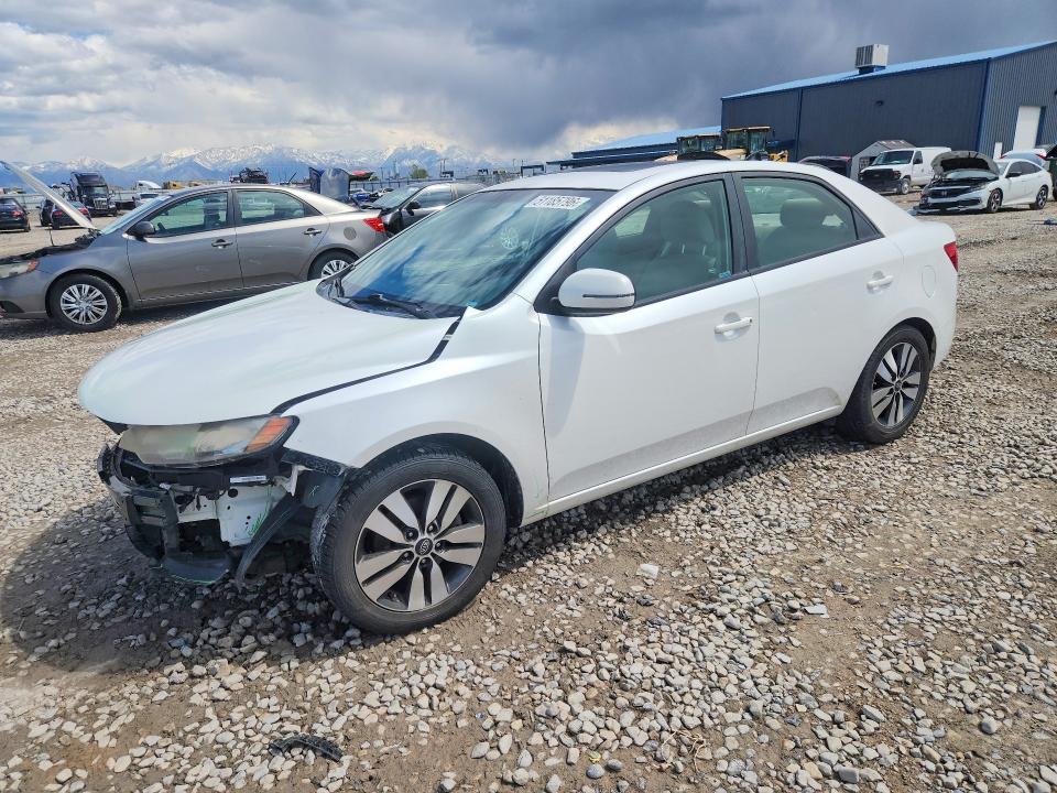 Продаж на аукціоні авто 2013 Kia Forte, vin: KNAFU4A26D5731849, номер лоту: 51185796