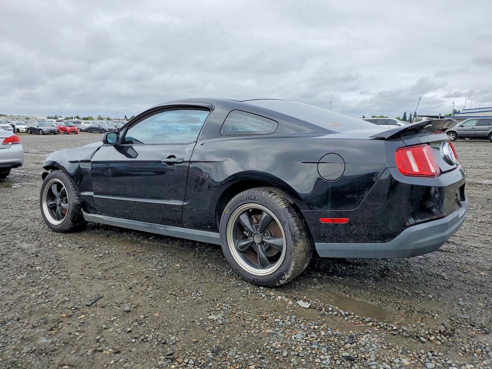 50802916 :رقم المزاد ، 1ZVBP8AN5A5100805 vin ، 2010 Ford Mustang مزاد بيع