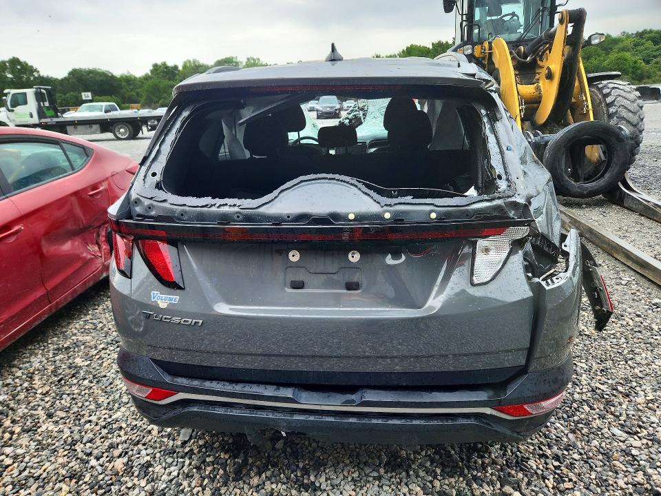 Продаж на аукціоні авто 2024 Hyundai Tucson, vin: 5NMJB3DE5RH424745, номер лоту: 51357116