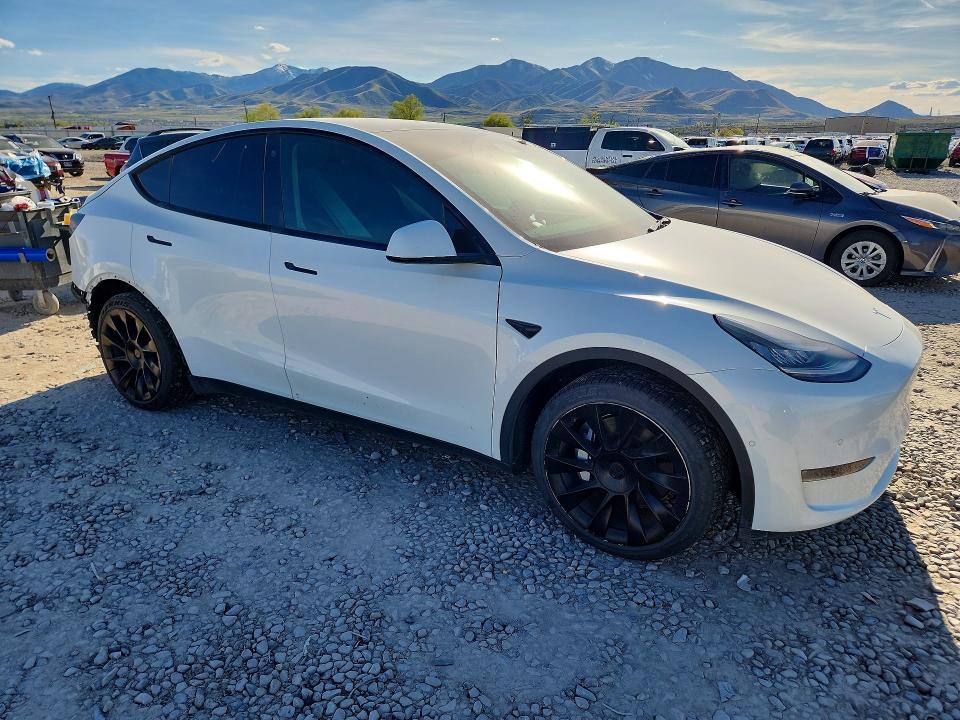 Продаж на аукціоні авто 2021 Tesla Model Y, vin: 5YJYGAEE4MF136650, номер лоту: 48801436