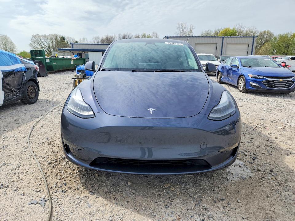 Продаж на аукціоні авто 2023 Tesla Model Y, vin: 7SAYGDEE0PF695489, номер лоту: 50979256